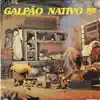 Various Artists - Galpão Nativo