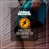 Various Artists - Melodic Sessions Summer '21
